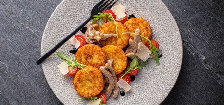 AVIKO Rösti rondjes fritters with beef strips, vegetables and Parmigiano Reggiano